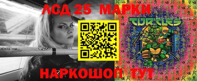 прущие грибы Новозыбков