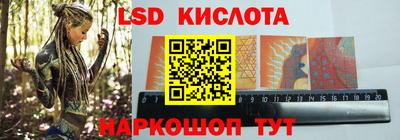 Альфа ПВП Новодвинск