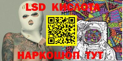 Альфа ПВП Новодвинск
