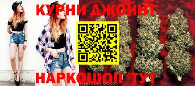 прущие крисы Новокубанск