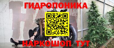 прущие грибы Новозыбков