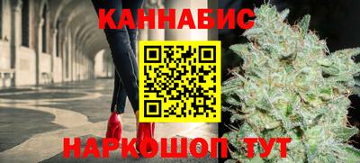 прущие грибы Новозыбков