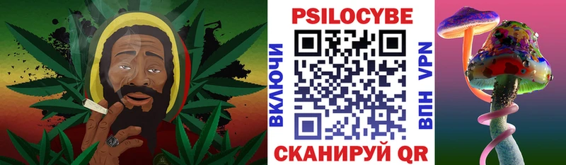 Псилоцибиновые грибы Cubensis hydra зеркало Снежинск где продают