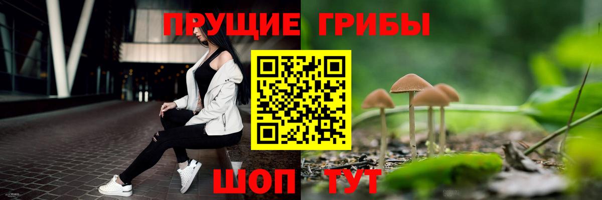 Псилоцибиновые грибы Psilocybine cubensis  Псилоцибиновые грибы MAGIC MUSHROOMS  Снежинск  Вход с VPN 
